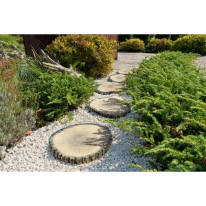 Dekoracyjne płyty chodnikowe imitujące drewno jako ścieżka ogrodowa między roślinami i żwirem.