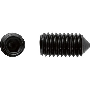 LUX-TOOLS Śruba zabezpieczająca imbusowa 6x10mm 8szt.