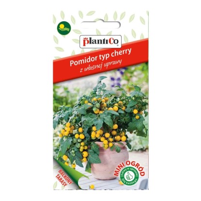 Pomidor cherry żółty Mini Ogród