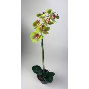 Zielona sztuczna orchidea w doniczce, realistyczna dekoracja do wnętrz.