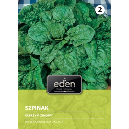 Szpinak Olbrzym zimowy- - 20 g