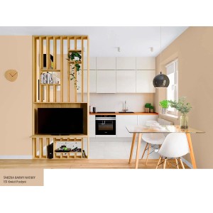 Pokój dzienny pomalowany w kolorach kwiatów pustyni. Kolorowa farba do ścian dla przytulnej atmosfery.