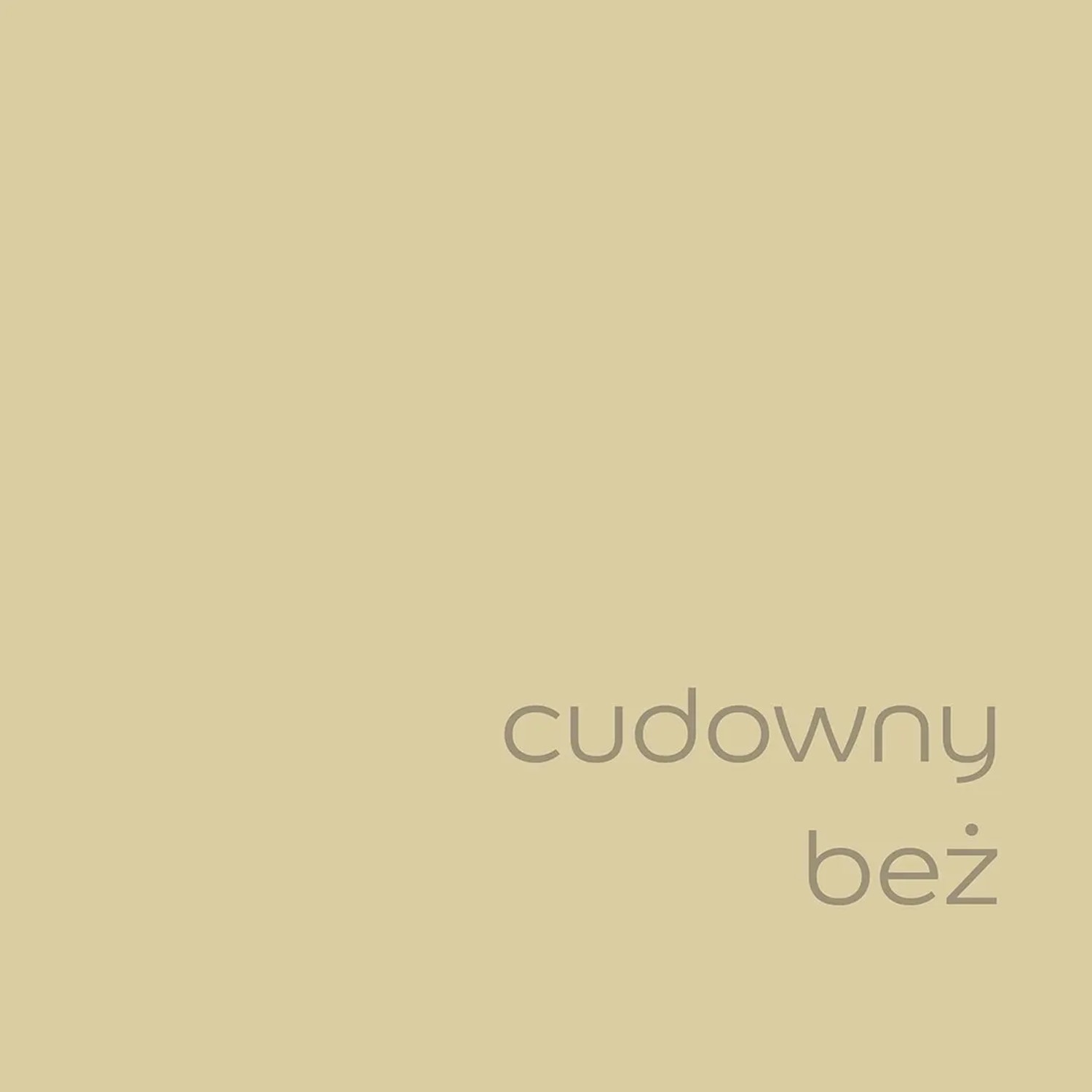 Próbka koloru farby ściennej t.b.t. w delikatnym odcieniu beżu.