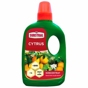 Butelka koncentratu nawozu Substral Citrus do cytrusów.