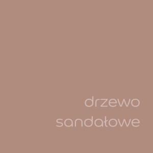 Próbka koloru farby do ścian t.b.t. w odcieniu drzewa sandałowego.