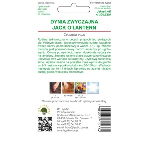 Legutko Dynia ozdobna Jack O Lantern 2g