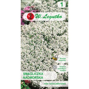 Opakowanie nasion kwiatów t.b.t.