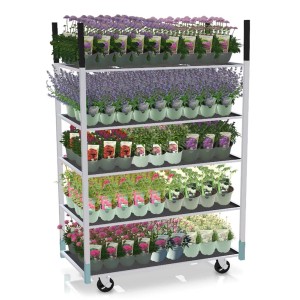 Wózek na kółkach z różnymi roślinami balkonowymi i tarasowymi w sklepie internetowym OBI.