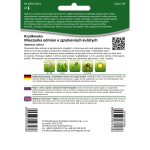 Taśma nasienna rzodkiewki, mieszanka odmian o okrągłych zgrubieniach.
