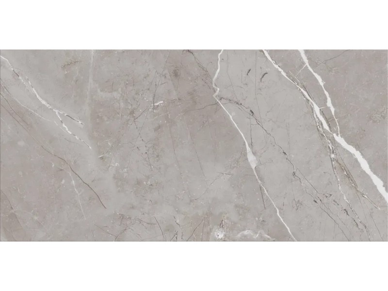 BUDDIIS BRILLIANT 15枚セット BUDDIIS BRILLIANT 15枚セット BRiLLiANT 【初回生産限定盤】(+