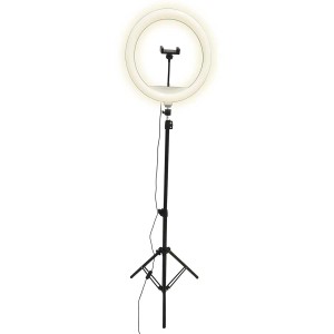 Goldlux Lampa LED SELFIE USB 15W 2700/4000/6500K 330lm śr. 36cm