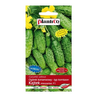 Ogórek korniszon Kajtek - 5 g