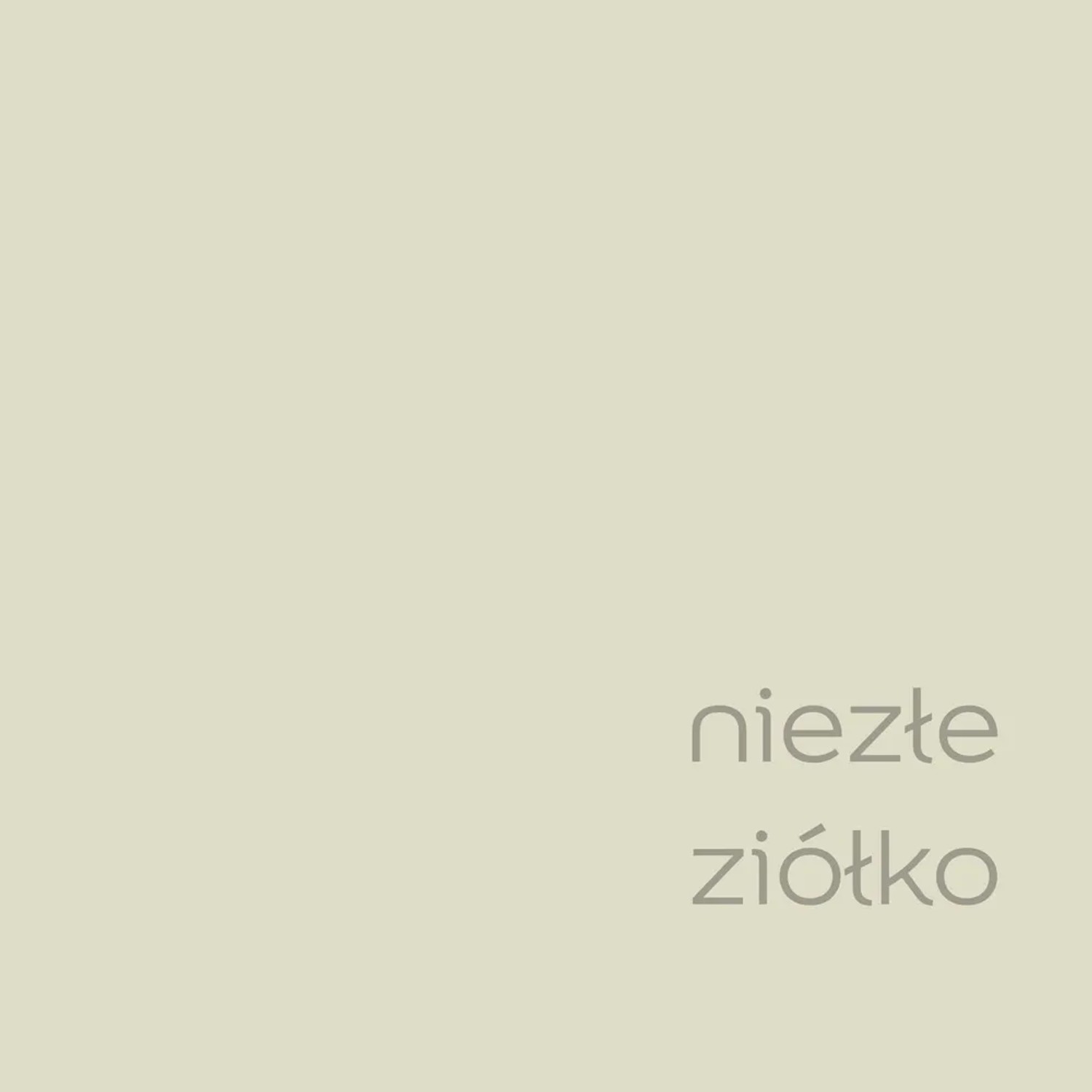 Próbka koloru farby do ścian t.b.t. w jasnym odcieniu żółtego.