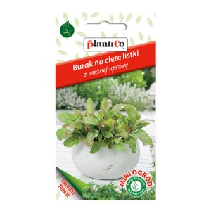 Opakowanie nasion 'Burak na cięte listki' (burak liściowy) w doniczce, nasiona warzyw do ogrodu.