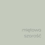 Próbka koloru farby ściennej t.b.t. w kolorze miętowej szarości. Idealna do kolorowych ścian wewnętrznych.