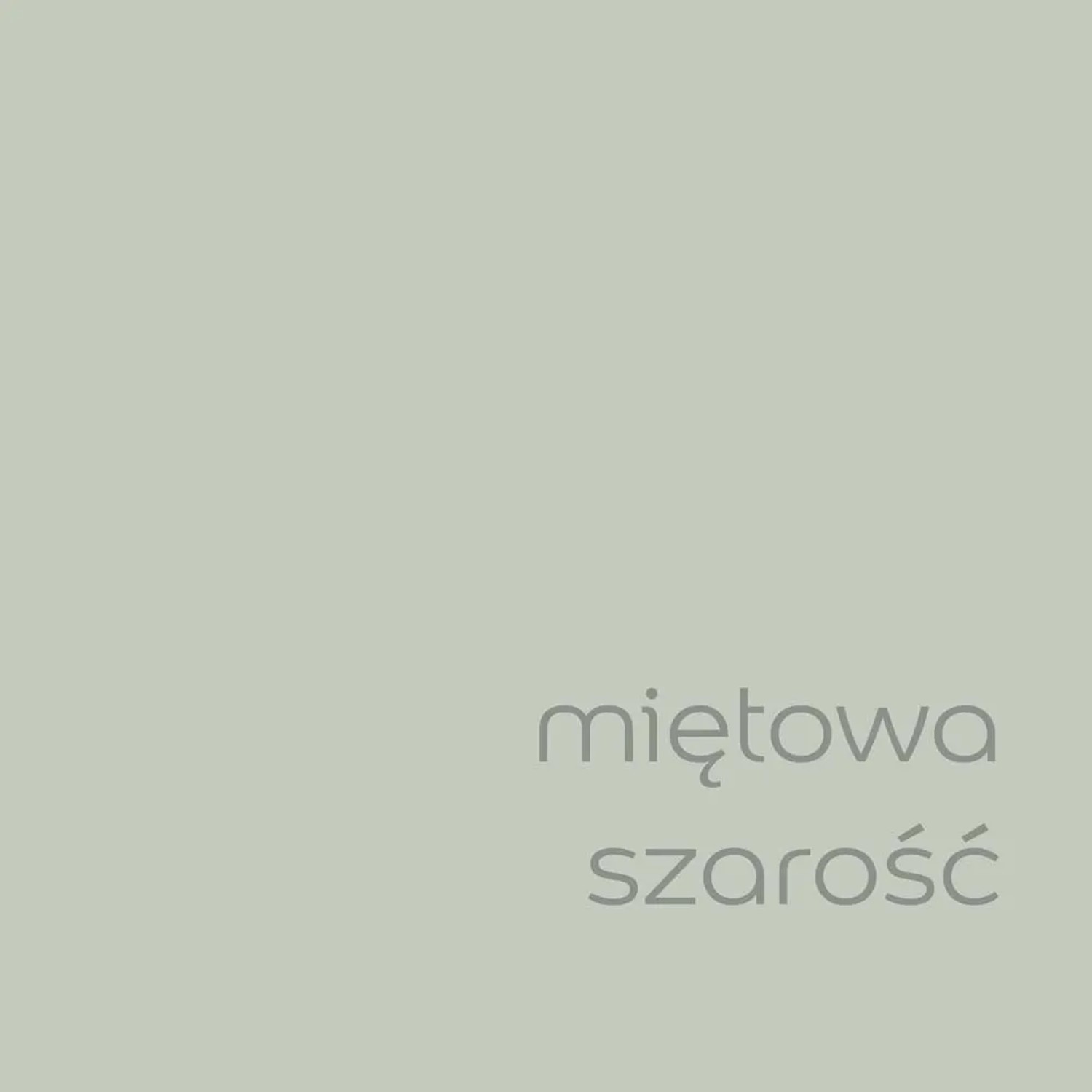 Próbka koloru farby ściennej t.b.t. w kolorze miętowej szarości. Idealna do kolorowych ścian wewnętrznych.