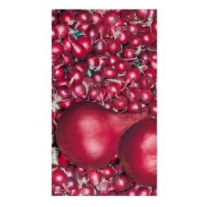 Czerwona cebula, idealna do uprawy we własnym ogrodzie. Kategoria: Warzywa.