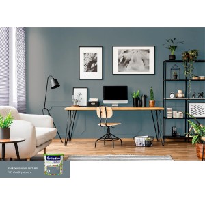 Pokój dzienny w stonowanym niebieskim kolorze z farbą do ścian t.b.t. i nowoczesnym wnętrzem.