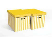 Erkar-Opakowania Komplet pudeł PASKI XL musztardowy 2 szt.