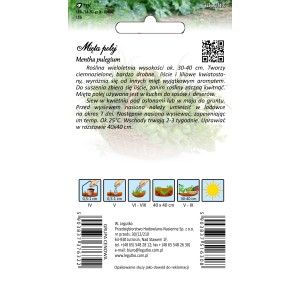 Opakowanie nasion mięty polej (Mentha pulegium). Nasiona ziół do aromatycznej kuchni i ogrodu.