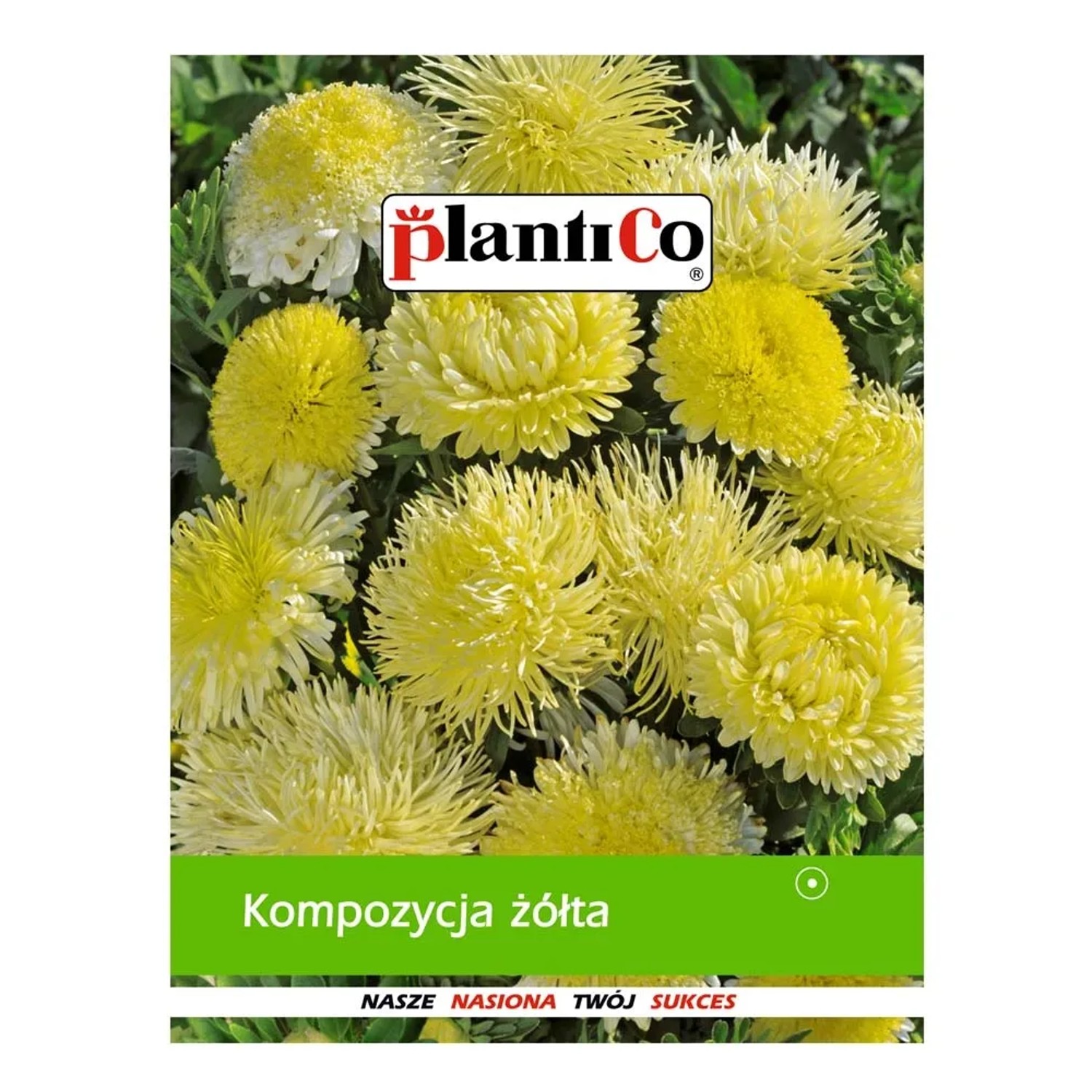 Kompozycja żółta