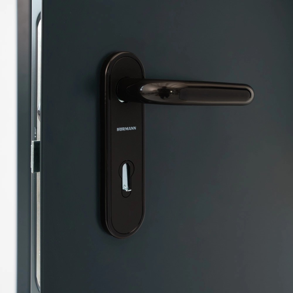 Hörmann Drzwi Ppoż EI30 Antracyt 800x2000 kupuj w OBI