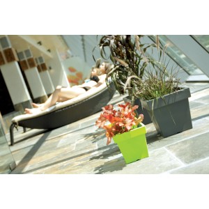 Donice w kolorze zielonym i szarym z roślinami, w tle kobieta na leżaku.