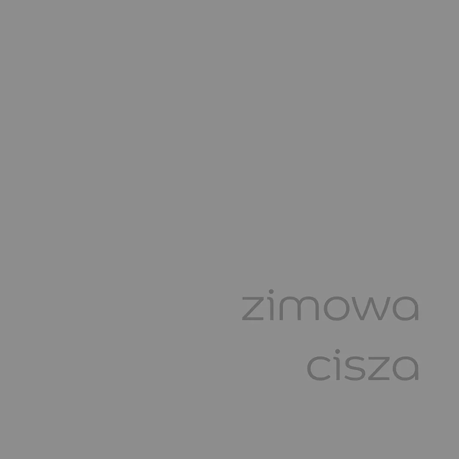Próbka koloru farby do ścian t.b.t. w kolorze szarym.