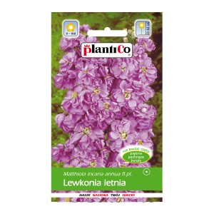 Opakowanie nasion lewkonii 't.b.t.' z fioletowymi kwiatami. Letnie kwiaty na rabaty i do wazonów.