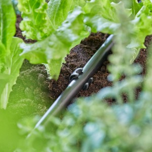 Uchwyt rury Gardena (13 mm) w użyciu, zabezpieczający rurę nawadniającą w grządce ogrodowej.