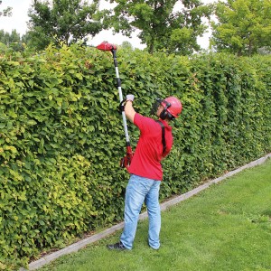 Akumulatorowe narzędzie wielofunkcyjne Einhell Power X-Change GE-HC 18 Li T Solo podczas przycinania żywopłotu.