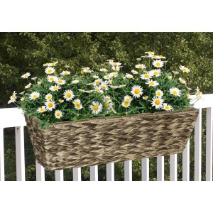 Dekoracyjna skrzynka na kwiaty t.b.t. ze stokrotkami na balustradzie balkonu.