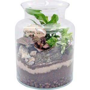 4Flower Rośliny zielone mix słój szklany PREMIUM
