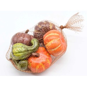 Zestaw dekoracji dyniowych w siatce, różne kolory i kształty.