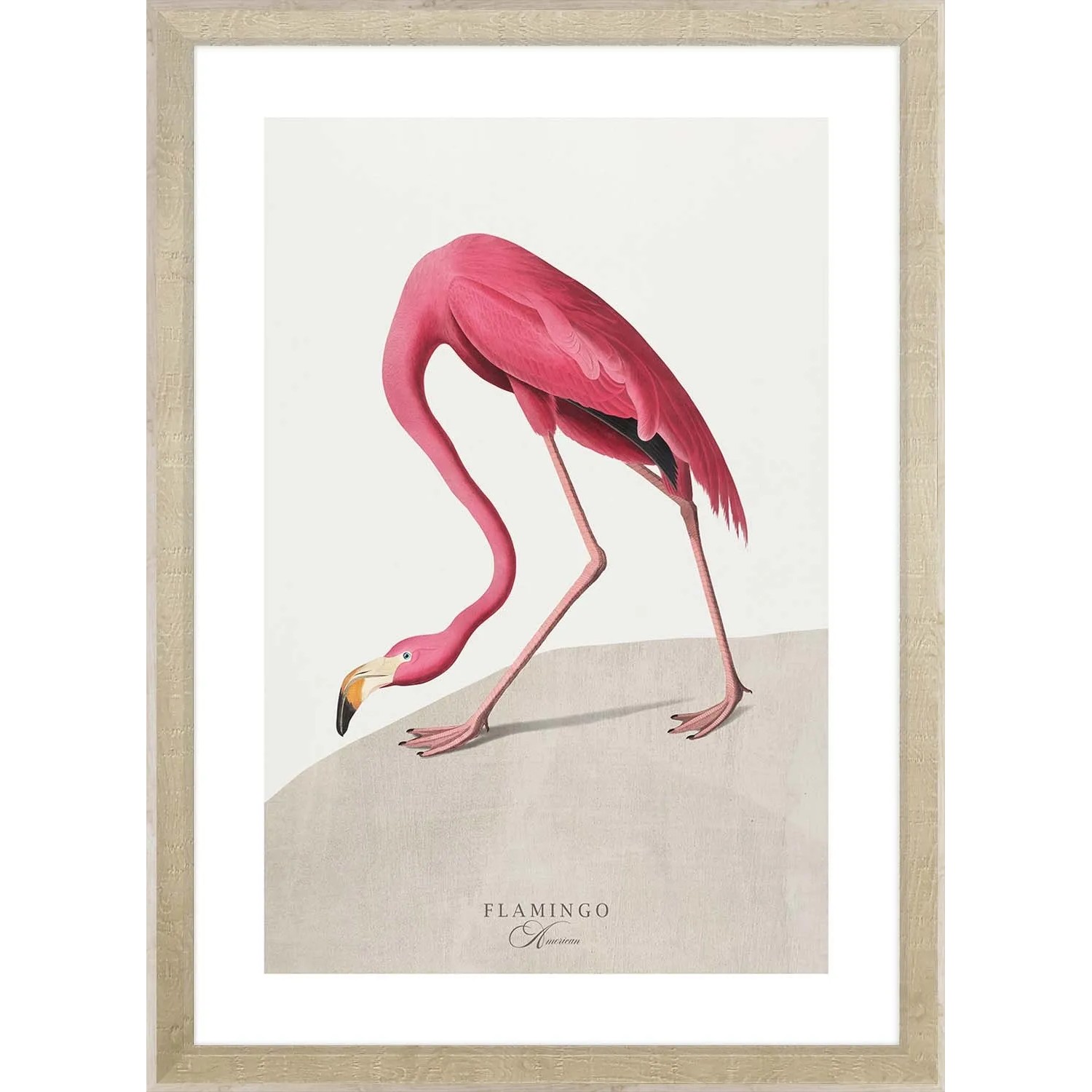 ARS LONGA Obraz THE WALKING FLAMINGO 55 x 75 cm