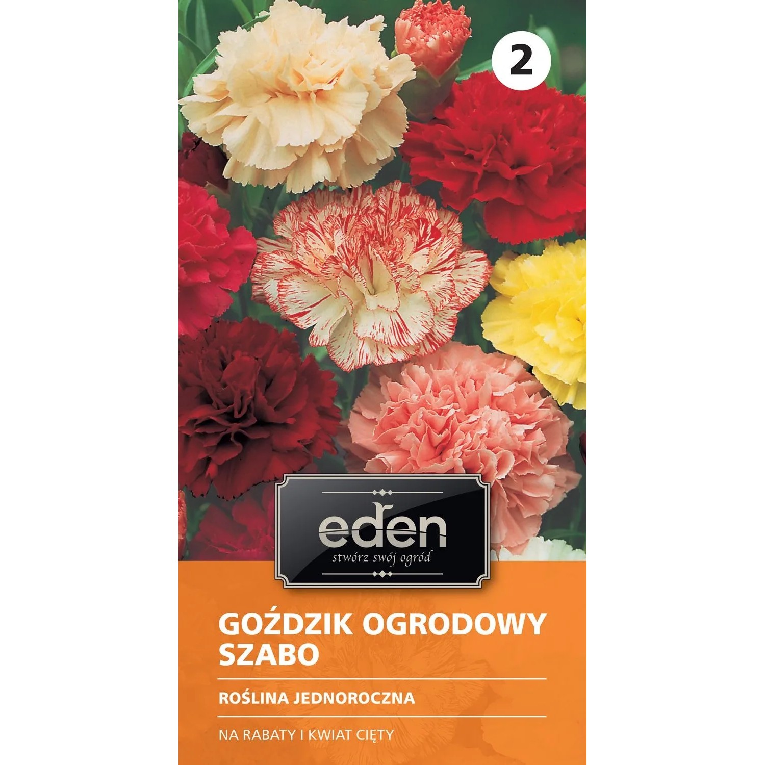 Goździk ogrodowy Szabo mix - 0,5 g