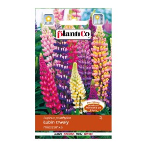 Mieszanka nasion łubinu: Kolorowe kwiaty do ogrodu.