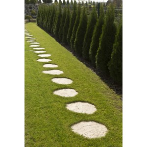 Ścieżka z okrągłych płyt tarasowych t.b.t. w ogrodzie, kategoria: płyty tarasowe i chodnikowe.