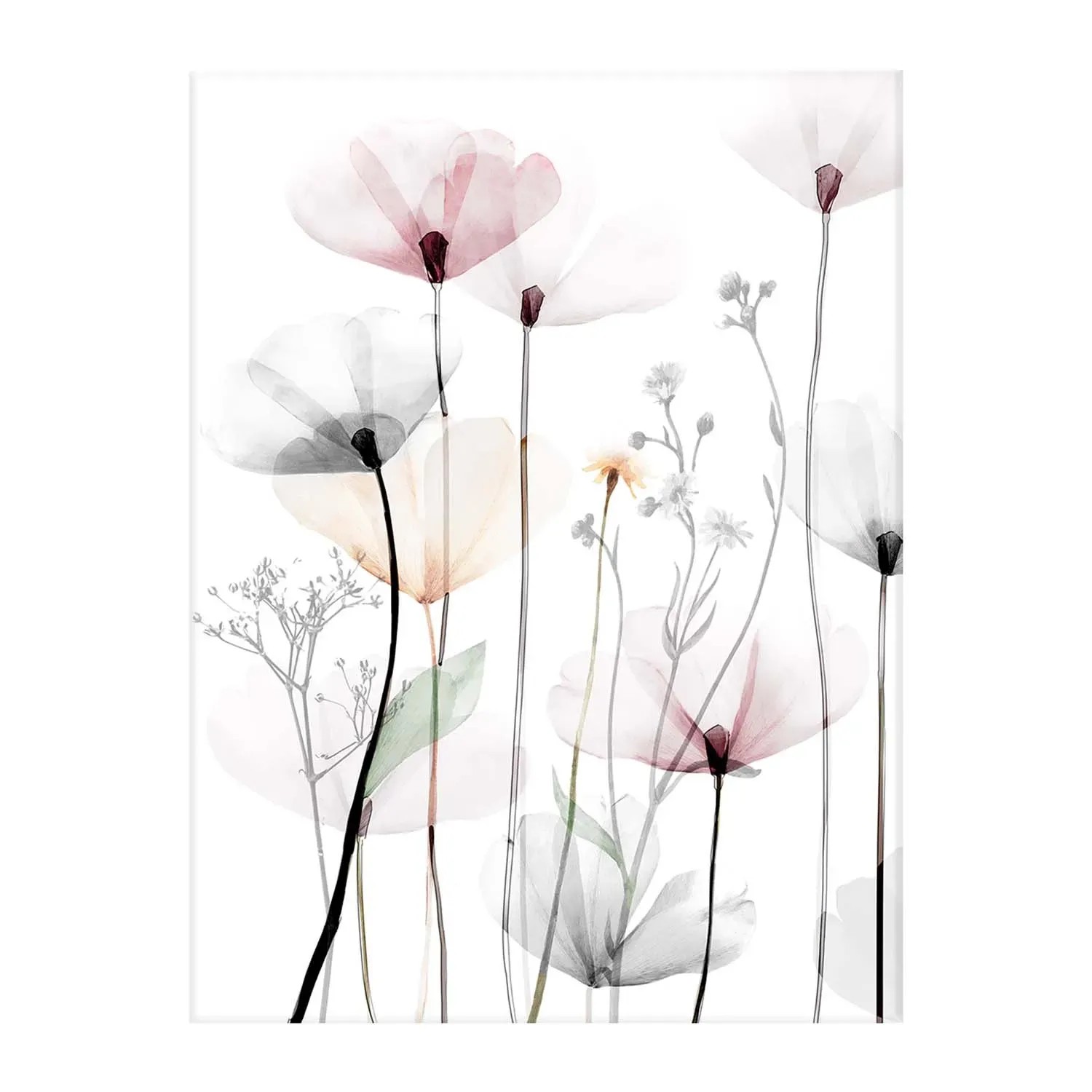Obraz Canvas MAK 60 cm x 80 cm