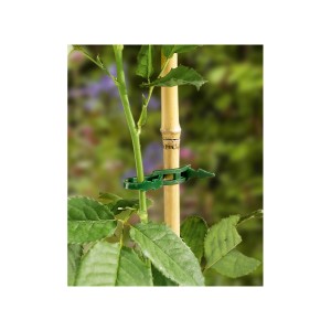 Zielone opaski do roślin (50 szt.) na roślinie i bambusowym paliku do mocowania w ogrodzie.