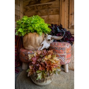 Aranżacja z cieniolubnymi bylinami w doniczkach i dekoracyjną czaszką na stołku.