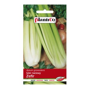 Opakowanie nasion selera 'Zefir' ze świeżym selerem w tle.