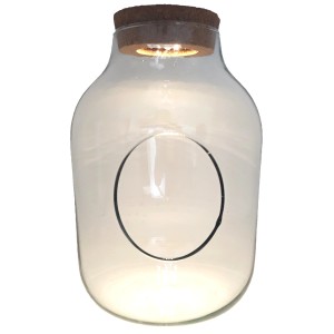 Dekoracyjna szklana butelka t.b.t. z korkowym zamknięciem i otworem na rośliny lub dekoracje.