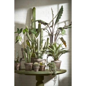 Doniczka Mica Decorations Calima, Ø 31 cm, bazalt, wykonana z terakoty, z różnymi roślinami na stole.