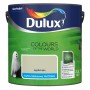 Wiadro z farbą Dulux Kolory Świata Ogród Zen, matowa farba lateksowa do ścian.