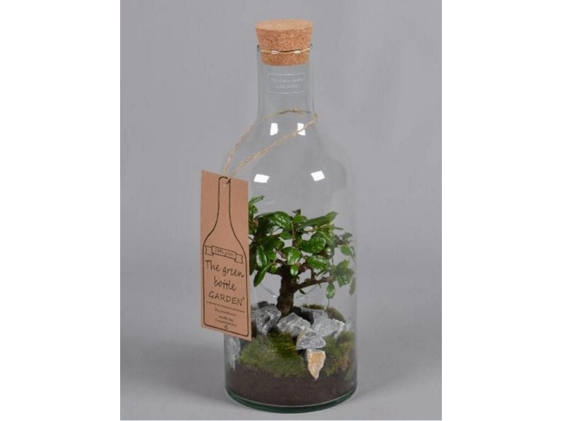 Saquê Seco Bonsai Soft 950ml - Saquê - Magazine Luiza