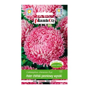 Opakowanie nasion astra 't.b.t.' z różowymi astrami peoniowymi na opakowaniu.