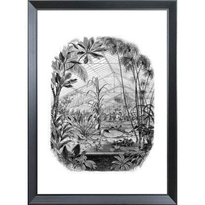 ARS LONGA Obraz BOTANICAL GARDEN 55 x 75 cm