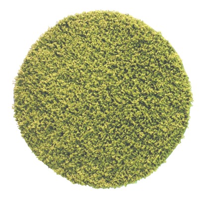 Dywan okrągły Samba New zielony średnica 100 cm