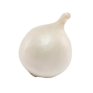 Jasna cebula, warzywo